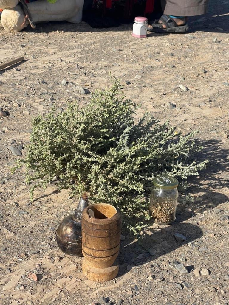 Piante aromatiche del deserto e strumenti beduini per la preparazione del tè durante l’escursione con Egitto Unico a Marsa Alam