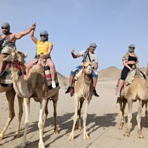 Cinque persone in posa festosa sedute su cammelli nel deserto di Marsa Alam, circondati da montagne sabbiose e cielo limpido, durante un’escursione guidata. Preguntas relacionadas Quali caratteristiche specifiche rendono adatte le gomme per il quad Come scegliere gli accessori più performanti per il tuo quad Quali sono le differenze tra vari modelli di quad e le loro gomme In che modo la manutenzione influisce sulla durata delle gomme del quad Come pianificare un percorso sicuro con il tuo quad in terreni diversi