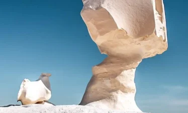 Incredibili formazioni naturali di gesso a forma di fungo e cammello nel Deserto Bianco visitato durante l’escursione di 2 giorni da Il Cairo con pernottamento a Bahariya