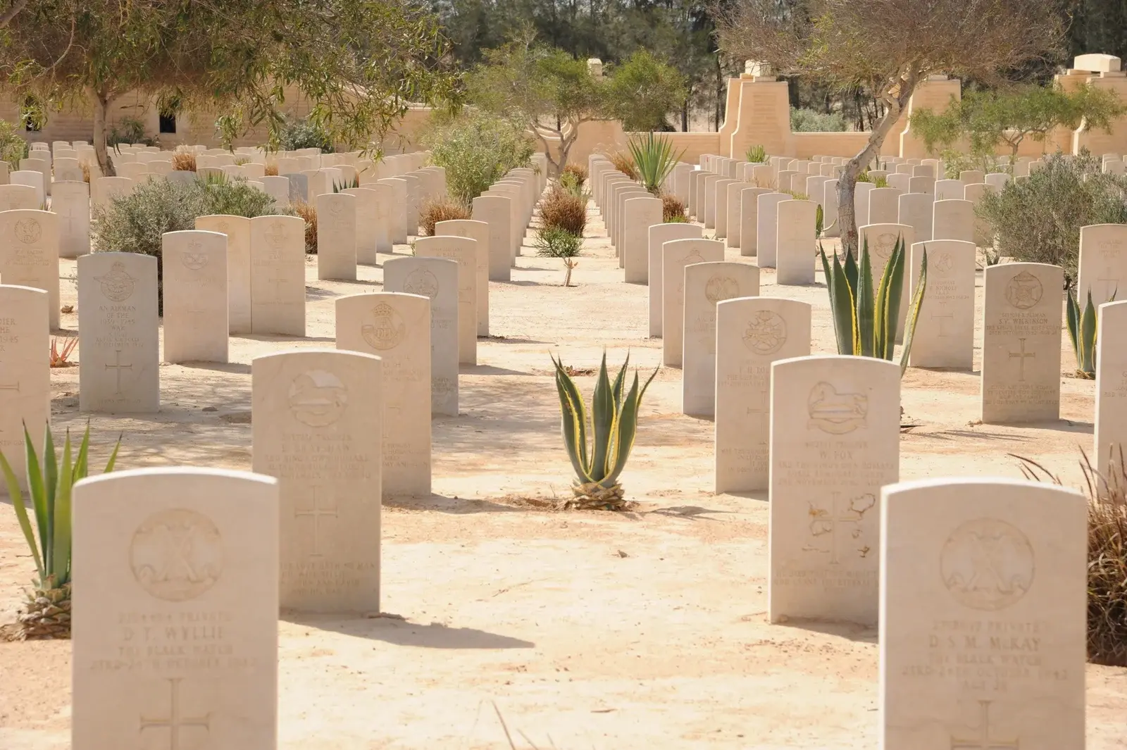 Cimieri militari ad El Alamein